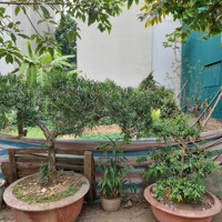 Chính Chủ Bán Đất Tân Tây Đô 60M2*Mt5M, Vị Trí Đắc Địa , Kd Đỉnh ,Ngõ To Thông Bàn Cờ Ô Tô Tránh