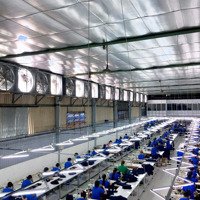 Hàng Ngộp, 80 Tỷ Sở Hữu Ngay 3900M2 Thổ Cư, Cho Thuê Làm Xưởng 100 Triệu/1 Tháng, Quốc Lộ 13, Thủ Dức