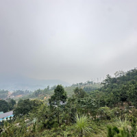 1,6Ha Có 150M Ont, 1143M Vườn Còn Lại Rsx Tại Tiến Xuân, Thạch Thất View Siêu Đẹp