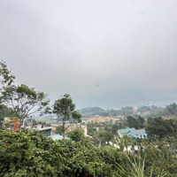 1,6Ha Có 150M Ont, 1143M Vườn Còn Lại Rsx Tại Tiến Xuân, Thạch Thất View Siêu Đẹp