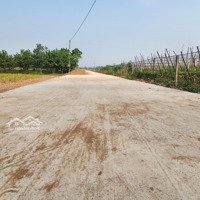Bán Gấp Đất Nền 1400M2 Tại Đt 419, Long Thượng, Phúc Thọ, Giá Ưu Đãi 1,4 Tỷ