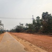 Bán Gấp Đất Nền 1400M2 Tại Đt 419, Long Thượng, Phúc Thọ, Giá Ưu Đãi 1,4 Tỷ