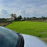Bán Đất Lúa 2 Mặt Tiền Đường 6M Thuộc Xã Lợi Bình Nhơn , Tp Tân An _Diện Tích: 30X50M2 ( 1532M2 Luc )