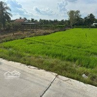 Bán Đất Lúa 2 Mặt Tiền Đường 6M Thuộc Xã Lợi Bình Nhơn , Tp Tân An _Diện Tích: 30X50M2 ( 1532M2 Luc )
