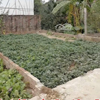 Cơ Hội Vàng Cho Nhà Đầu Tư 40.5M Tại Xuân Đình, Phúc Thọ- Đất Đẹp Giá Tốt