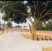 Bán Đất Hoà Lạc Giá Rẻ Nhất Khu Vực