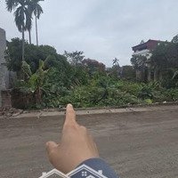 Cần Bán Nhanh Hoa Hậu Kinh Doanh Mặt Trục Kinh Tế Kim An - Thanh Oai. Đường Rộng 12M - Giá Cực Êm