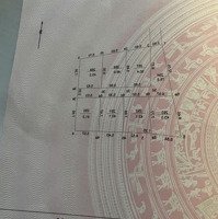 Chính Chủ Gửi Bán 43.1M2 Đất Thổ Cư Trạch Mỹ Lộc, Phúc Thọ, H Cách Trục Chính 15M Giá Chỉ 2X Tr/M2