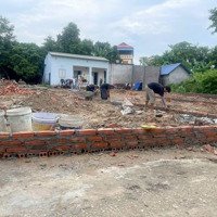 Đất Vuông Vắn Sổ Đẹp Sẵn Sàng Giao Dịch,Diện Tích79M Giá 950 Triệuieu