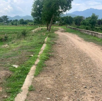 Chủ Cần Bán Lô Đất Mặt Đường Bê Tông Lớn Thị Trấn Phú Long Cách Phan Thiết 5Km