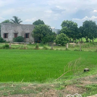 Chủ Cần Bán Lô Đất Mặt Đường Bê Tông Lớn Thị Trấn Phú Long Cách Phan Thiết 5Km