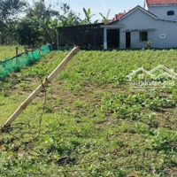 Đất View Sông Hòa Nhơn 280M2 Có 50M2 Đất Ở Ngang 8M Mát Mẻ