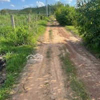Chính Chủ Cần Bán Mảnh Đất Ở Xã Tân Nghĩa, Huyện Hàm Tân, Tỉnh Bình Thuận. Dt: 3.000M2