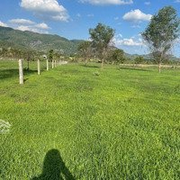 Chính Chủ Cần Bán Mảnh Đất Ở Xã Tân Nghĩa, Huyện Hàm Tân, Tỉnh Bình Thuận. Dt: 3.000M2