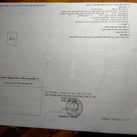 Cần Bán Đất Trông Cây Lâu Năm, Gần Quốc Lộ 28, Kế Phan Thiết