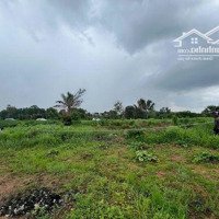 Bán Đất Thị Trấn Tân Minh - Gần Quốc Lộ 1 - Gần Cao Tốc