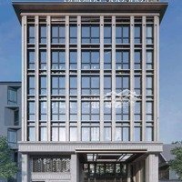 Chính Chủ Bán Tòa Building Mặt Phố Tây Sơn 588M2. Đấtmặt Tiền15 Mét 296 Tỷ Quận Đống Đa