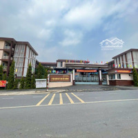 Đất Mặt Tiền Kinh Doanh Ngay Trường Cấp 1.2.3 Tân Đông Hiệp Gần Ngã Tư Chiêu Liêu Tp. Dĩ An