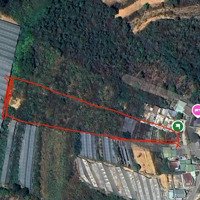 Bán Đất Có View Hoàng Hoa Thám - Trại Hầm, Tp.đà Lạt