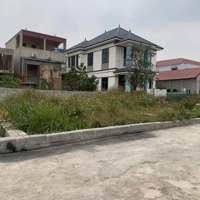 Hơn 1 Tỷ 40M2 Xâm Động, Thường Tín, Hà Nội Mặt Tiền Rộng: 4,5M Đường Trước Đất Rộng 4M