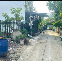 Hot! Bán Nhanh Lô Đất Xã Tân Xuân, Hóc Môn, 67M2. Shr, 1 Tỷ 195