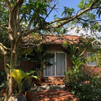 Hàng Hiếm Tại Đường 753, Đồng Tiến, Đồng Phú, Bình Phước, 120 Triệu, 1000M2