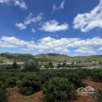 Bán Lô Đất Nghỉ Dưỡng Ven Đà Lạt View Đồi Thông Siêu Đẹp , Không Gian Xanh Mát