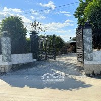 Cam An Nam - 494 M2 - 10 X 49M - Tc 60M2 - Có Nhà Cấp 4 - Giá Chỉ 150 Triệu/M Ngang