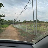 Bán Đất Vườn Bàu Sen, Đường Ô Tô, Quy Hoạch Đường Lớn Bắt Ngang, Đất Trồng Cây Tốt