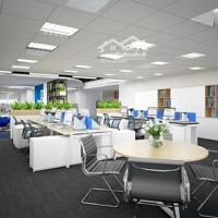 Sở Hữu Tòa Nhà Vip Nhất Khu Phố Trung Hòa Dtsd Rộng Tới 800M2 Mặt Tiền Siêu Đẹp Chỉ 39 Tỷ