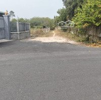 Bán Đất 3100M2 Tại Nhuận Đức, Củ Chi, Hcm Giá Tốt, Đẹp, Nhiều Tiện Ích