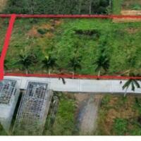 Chính Chủ Cần Chuyển Nhượng 1129m2 100m ONT tại KCN Nhuận Trạch
