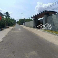 790 Triệu Đất 166,8M2 Bình Ba, Châu Đức, Brvt. Khu Vip Biệt Thự Rất Đẹp, Đường Nhựa