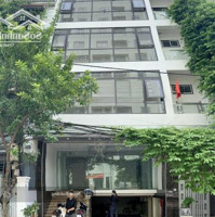 Cho Thuê Gấp Nhà Mặt Phố Trần Quang Diệu - Đống Đa - Hà Nội.diện Tích67M X 6,5T. Giá Bán 50 Triệu