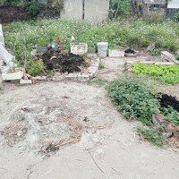 Chính Chủ Có Lô Đất Đẹp Xóm Trại My Duong Thanh Mai Thanh Oai Hà Nội 50M Giá Thoả Thuận Phân Lô Ô T