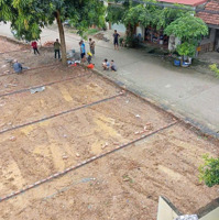 Bán Nhanh 2 Lô Đất Nam Phương Tiến, Chương Mỹ Đường 8M, Kinh Doanh Được! Giá Chỉ Nhỉnh 1 Tỷ