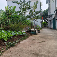Chính Chủ Gửi Bán Lô Đất Ngay Đô Thị Vuông Vắn, Tiện Ích Xung Quanh Đầy Đủ- Giá Hơn 2 Tỷ