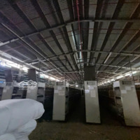 Cho Thuê Kho Xưởng Kcn Lê Minh Xuân, Bình Chánh,Khuôn Viên : 3.700M2, Xưởng : 2.200M2, Pccc Tự Động