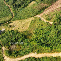 Hàng Hiếm A Chị Mua Lô Này Dựng Nhà, Làm Trang Trại Thì Hết Ý
E Bán 10 Ha Đất Rừng Sản Xuất