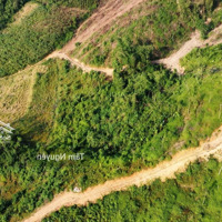 Hàng Hiếm A Chị Mua Lô Này Dựng Nhà, Làm Trang Trại Thì Hết Ý
E Bán 10 Ha Đất Rừng Sản Xuất