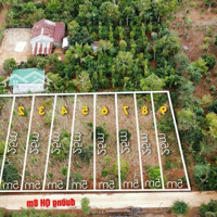 Ea Drong - Buôn Hồ, Daklak Dt: 5X25 Thổ Cư 60M2
Cách Ql29 Chỉ 1Km, Cách Hồ 200M.