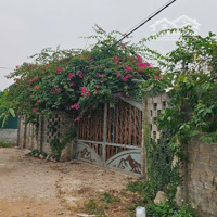 476M2 Đất Vườn Có Sổ,Mặt Tiền18M. Xung Quanh Nhà Dân Hiện Hữu. Cách Đl Thăng Long 1.3Km