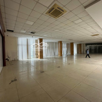 Cho Thuê Mặt Sàn Tầng 2,3,4 Mặt Phố Lạc Long Quân Diện Tích 500M2/Sàn 135 Triệu/Th