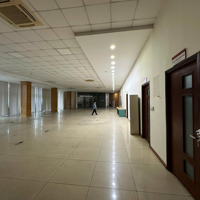Cho Thuê Mặt Sàn Tầng 2,3,4 Mặt Phố Lạc Long Quân Diện Tích 500M2/Sàn 135 Triệu/Th