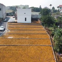 Bán Gấp Đất Tại Đường Áp Phan, Quốc Oai, Hà Nội, 2,5 Tỷ, 110M2