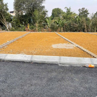 Bán Gấp Đất Tại Đường Áp Phan, Quốc Oai, Hà Nội, 2,5 Tỷ, 110M2