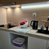 Bán căn hộ Studio, chung cư Sol Forest Ecopark hướng mát , tầng đẹp - Nội thất đẹp