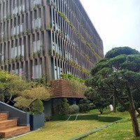 Căn Hộ Vip Cao Cấp Tại Tầng 4 Tòa Nhà Center Chợ Đà Lạt . Đi Bộ Vài Phút Ra Bờ Hồ Xuân Hương