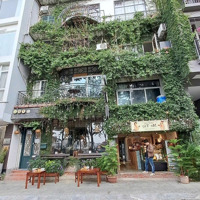 Bán Quán Cafe Mặt Từ Hoa, Tây Hồ 220M2 Mt: 9M Giá Bán 170 Tỷ Dòng Tiền 250 Triệu/1Th