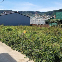 Bán Lô Đất Ngay Thị Trấn Lạc Dương, Shr, Đường Ô Tô Giá Bán 1,85 Tỷ